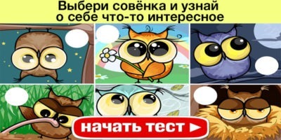 Психологический тест: выбери понравившегося совёнка и узнай о себе что-то интересное