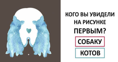 Тот, кого вы увидели первым на этой картинке, определяет, как вы обычно любите…