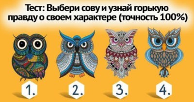 Тест: Выбери сову и узнай горькую правду о своем характере (точность 100%)