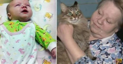 Его бросили в холодный подвал в разгар лютой зимы… Если бы не эта кошка, то он бы просто не выжил!